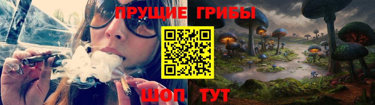 Великие Луки  Псилоцибиновые грибы MAGIC MUSHROOMS  Вход с VPN 