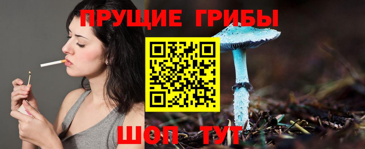 Галлюциногенные грибы GOLDEN TEACHER Великие Луки